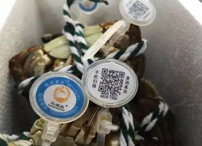秋分時(shí)節(jié)蟹正肥，陽澄湖開湖迎豐收——2023年陽澄湖大閘蟹9月23日開捕，防偽體系再升級